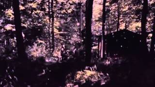 Turin Brakes - Mind over Money