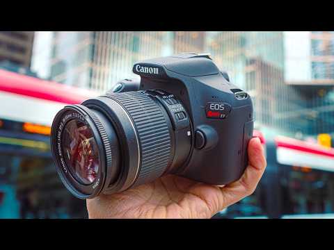 Best DSLR Cameras in 2025 | Top 4 DSLRs For Photo & Video