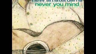 Make me change my mind - The New Amsterdams