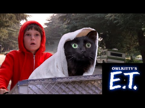 When you take your cat to the vet (E.T. + my cat OwlKitty)