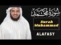 Surah Muhammad - Mishary Rashid Alafasy : My Islam