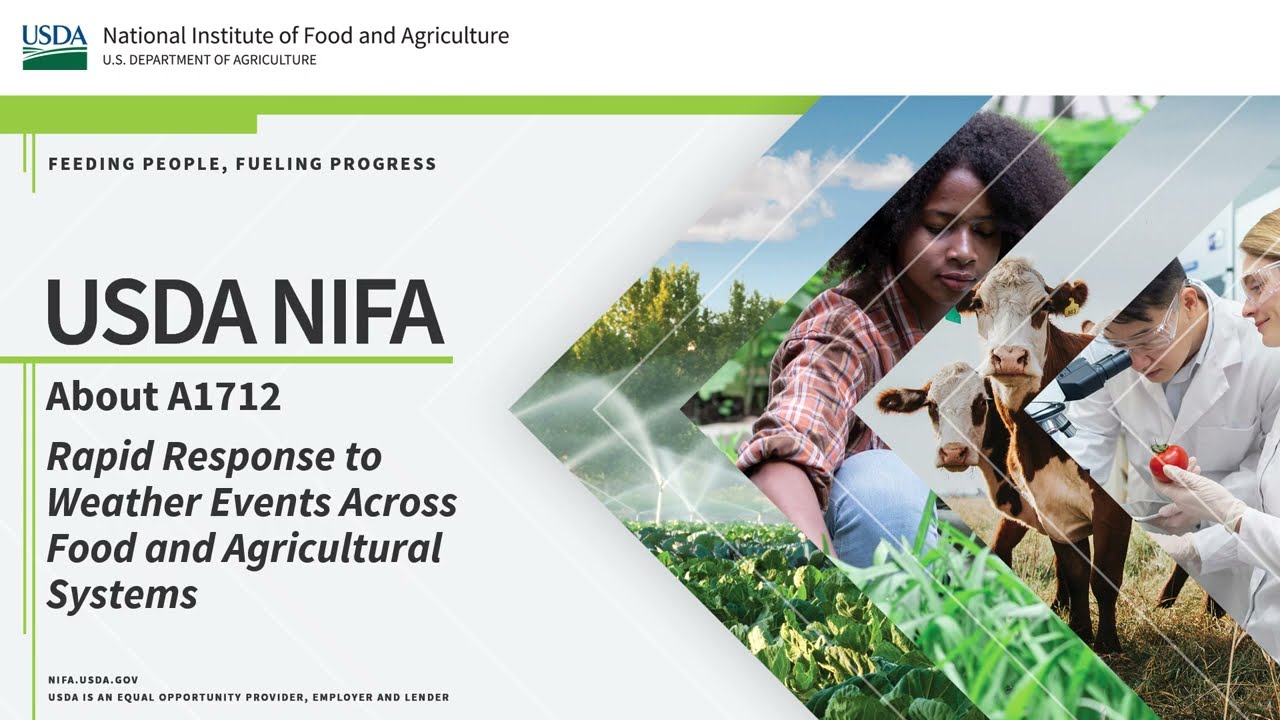 A1712 Rapid Response Overview