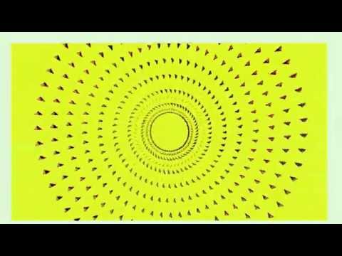 Pet Body - Miya Folick