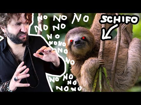 Quello che NON volevi sapere sul Bradipo - SCIENZA BRUTTA