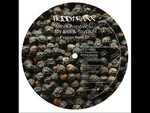 Mihai Popoviciu, Jay Bliss & ToyGUN - The Change - Hudd Traxx