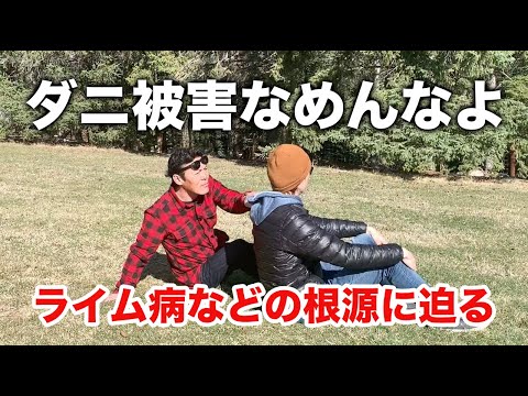 ボレリア ガリーニについて詳しく解説