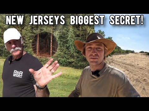 Are PORTALS Opening In New Jersey Pine Barrens?!