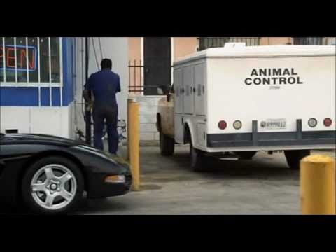 Next Friday - Bathroom Emergency