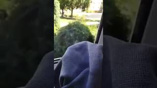 TEMİZLİK SÜRENİZİ KISALTIN CAM BEZİ ( MİKROFİBER)