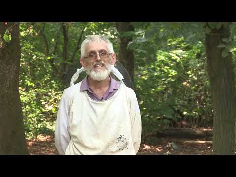 Boja meda ep.77 27.08.2019. - Saveti bačkih majstora o selekciji pčelinjeg društva...