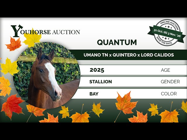 Quantum
