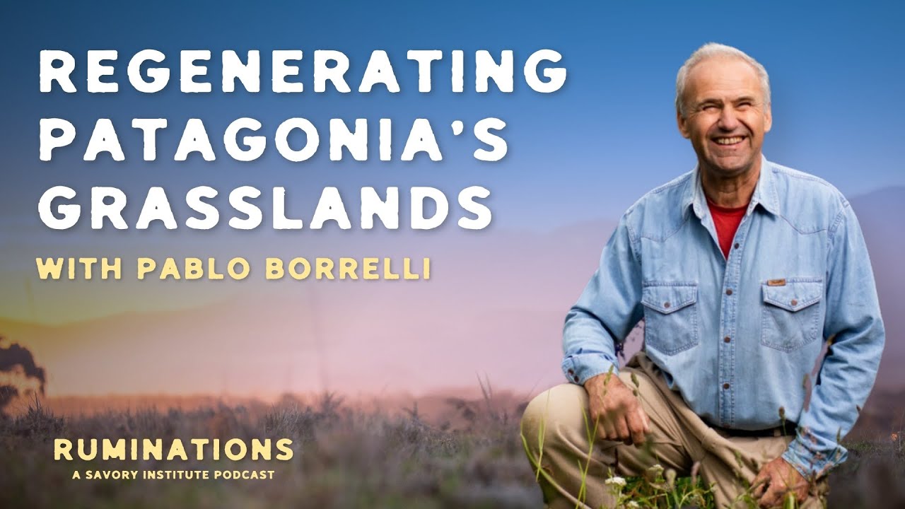 Ep. 7 - Pablo Borrelli