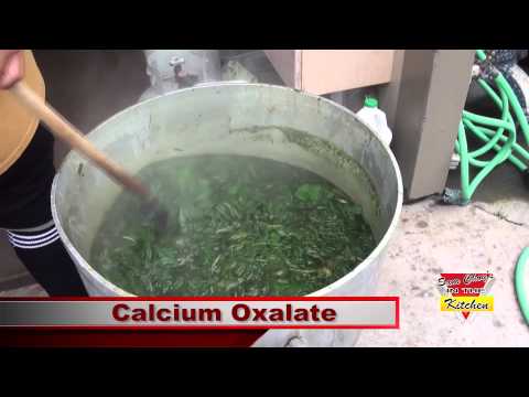 download lagu mp3 mp4 Luau Leaf Recipe, download lagu Luau Leaf Recipe gratis, unduh video klip Luau Leaf Recipe