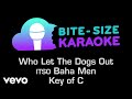 Baha Men Who Let The Dogs Out Bite Size Karaoke