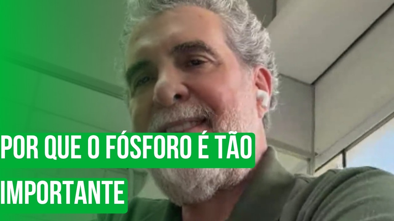 Por que o fósforo é tão importante para a agricultura brasileira?