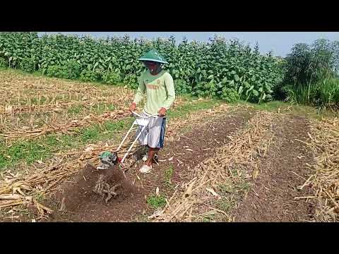 modifikasi mesin rumput jadi alat bajak sawah