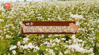 제1회 정선메밀전병축제 / 강원매거진7 / [강원도는 축제 중] / G1방송 / 260306