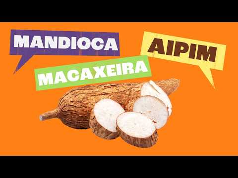 Variação Linguística: As Diferentes Formas de Falar a Língua