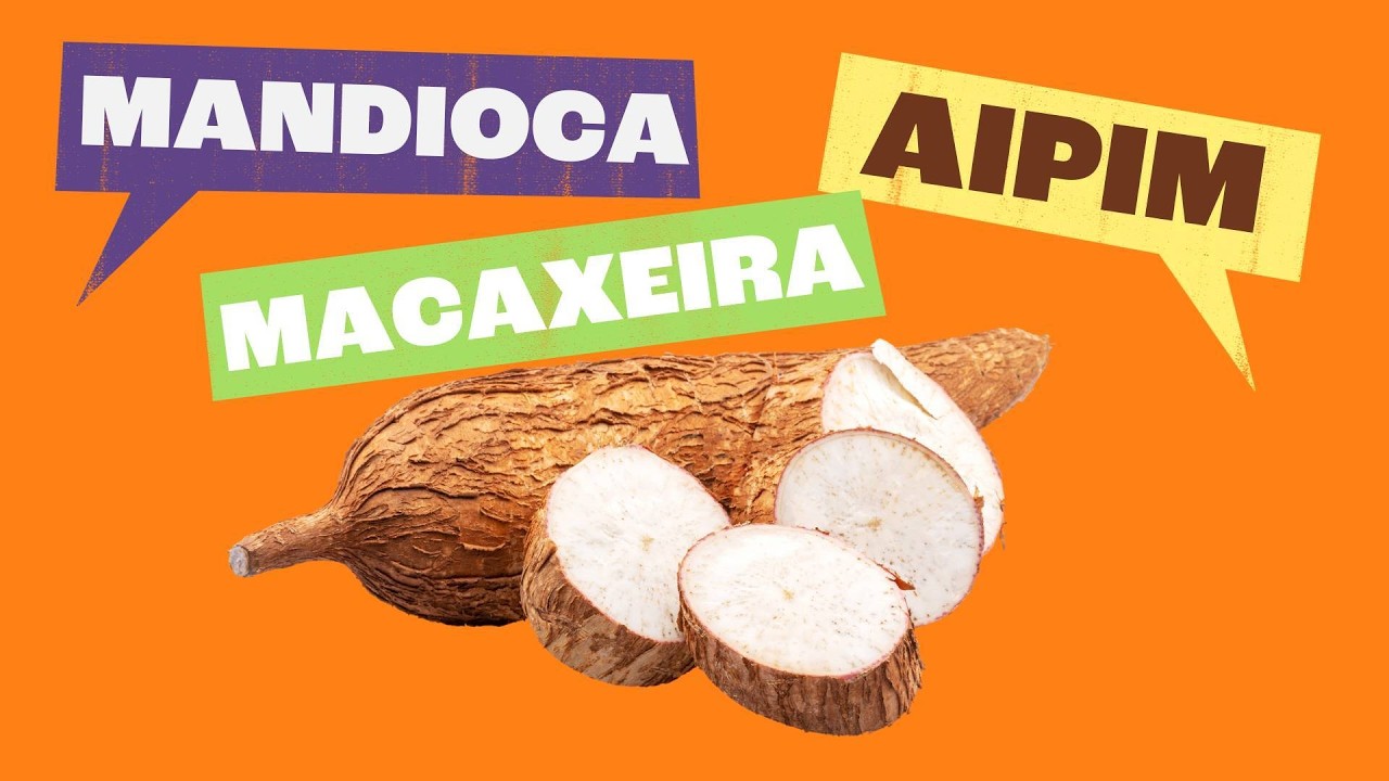 Variação Linguística: As Diferentes Formas de Falar a Língua