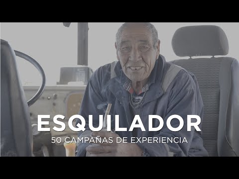 Cochengo - Esquilador