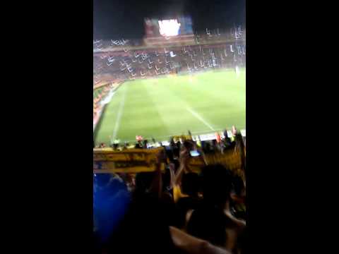 "Tigres Vs Emelec Zona Libres Y Lokos" Barra: Libres y Lokos • Club: Tigres • País: México