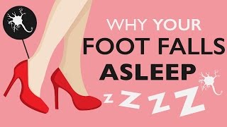 Why Does Your Foot Fall Asleep?