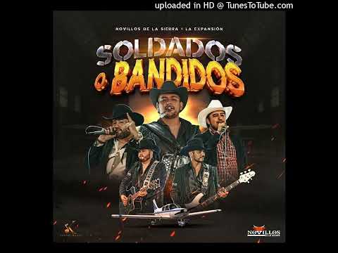 Novillos de la Sierra x La Expansion - Soldados o Bandidos (Corridos 2024)