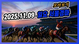 2025년 11월 9일 일요 서울경마 전체경주 모아보기