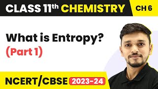 Class 11 Chemistry Chapter 6 | Entropy (Part 1) - Thermodynamics | Class 11 Chemistry CBSE/NCERT