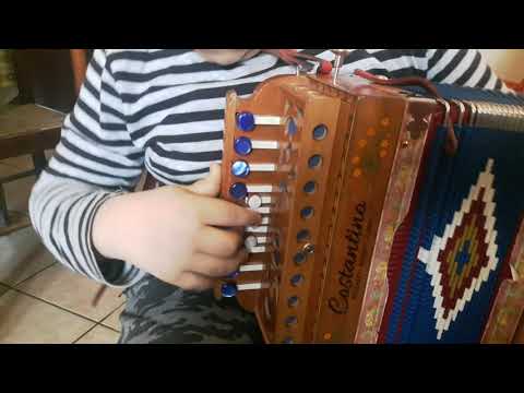 Tarantella fantasiosa