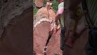 Download lagu Wooden Wedges Work! mp3