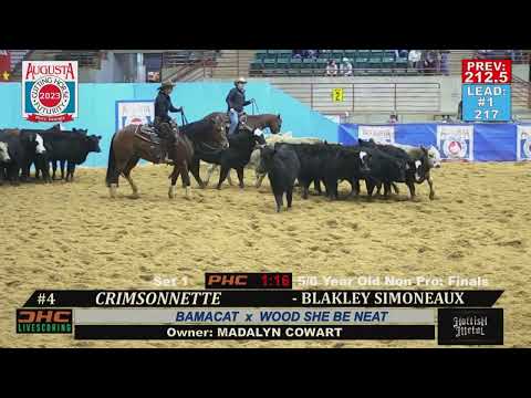 2023 Augusta Futurity - 5/6 Yo Non Pro Champion
