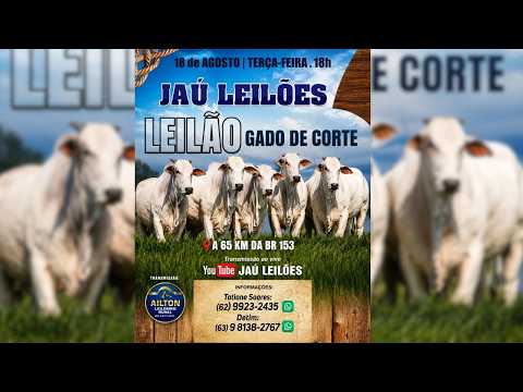 LEILÃO GADO DE CORTE  - JAU LEILÕES  - JAU DO TOCANTINS  - 18 / 08 / 2026