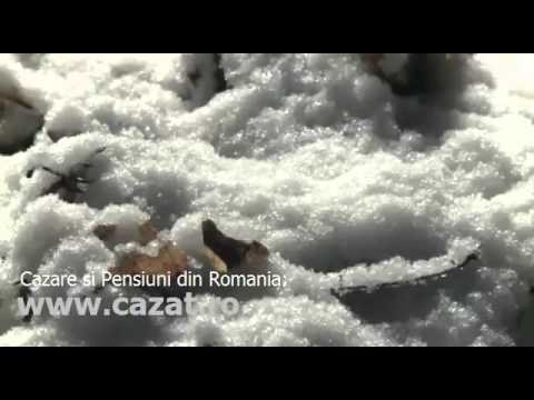 Cazare Bircii, Gorj - Cazat.ro