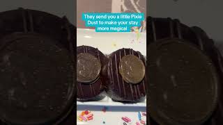 Disney cruise rule: mistakes happen, pixie dust required ✨ #disneycruise #disneytreasure #pixiedust