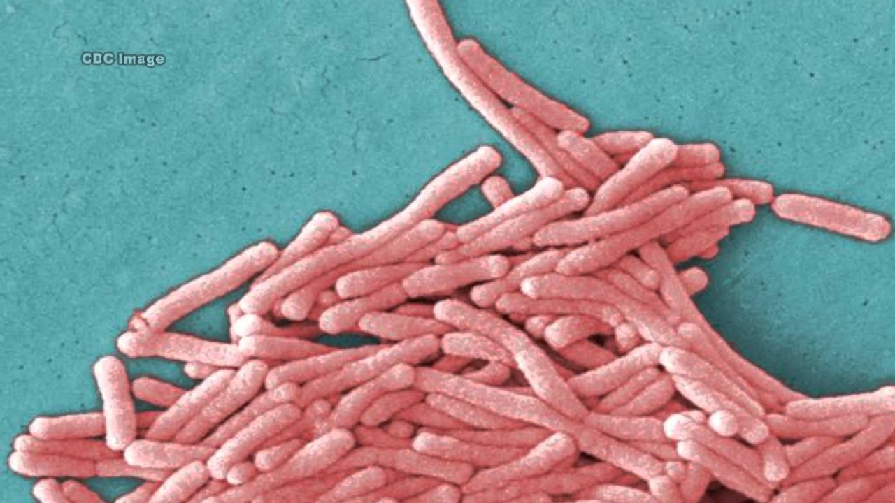 Pathogen Testing by EMSL Analytical, Inc.