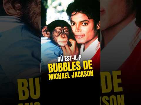 Où est le chimpanzé Bubbles de #MichaelJackson ? (Vu dans le film)