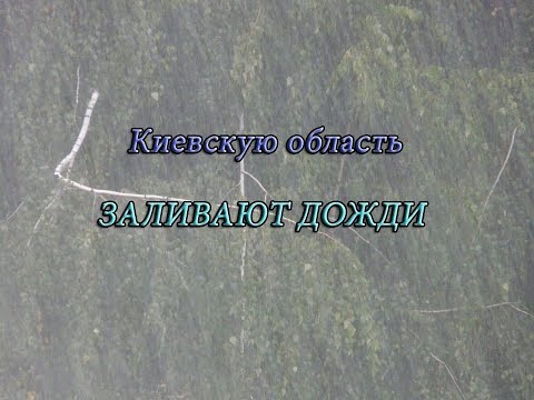 Дождь, стихия. Украина, Вишневое, Киевская обл. 25.07.18