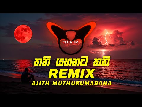 Thani Yahanata Thani (DJ AIFA Remix)