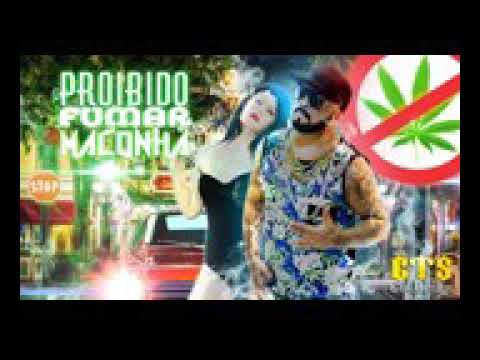 CTS kamikaze proibido fumar maconha