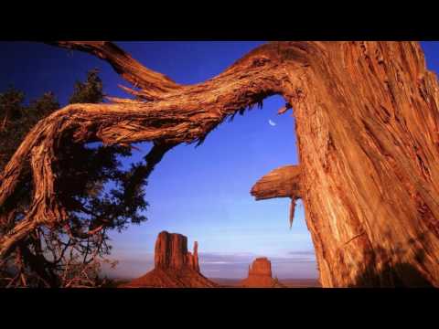 The Taliesin Orchestra. The Memory of Trees (HD 1080)