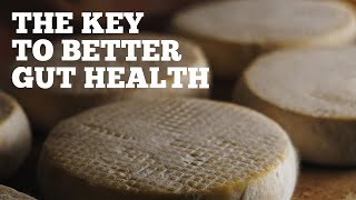 EP: 450 Ancestral Cheesemaking for Better Gut Health: Benefits of Traditional Methods w/ David Asher