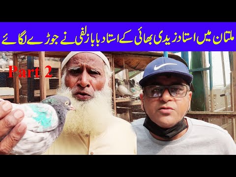 In Multan, Ustad Zadi Bhai's Ustad Zulfi is getting very active, part 2 (03004515078)