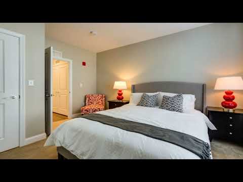 1 Bedroom Apartment for Rent in Chelmsford, MA