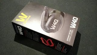 Video thumbnail for Z Review - Westone W40 by Z Reviews