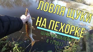 Рыбалка на реке пехорка в красково