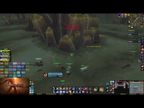 [Anathema] Wiping a Horde lords raid in Silithus