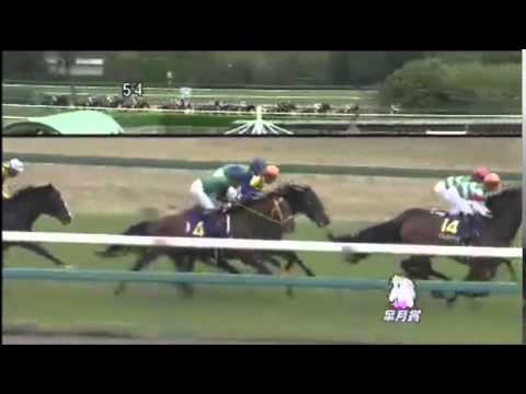 皐月賞2014