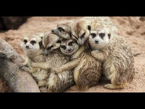 Tony Martinez Feat. Estela Martin - Your Loving Arms (Cover)