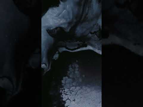 Vitalic feat Vimala - You Are Not Alone